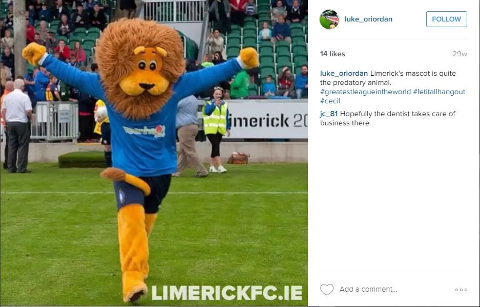 Limerick mascot
