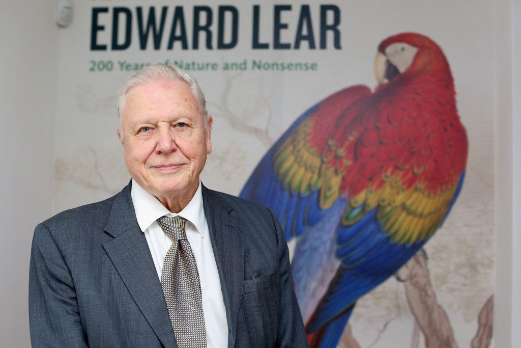OXFORD, ENGLAND - SEPTEMBER 19: Sir David Attenborough poses for a photograph at the opening of an exhibition of Edward Lear?s artwork in the Ashmolean Museum on September 19, 2012 in Oxford, England. The exhibition ?Edward Lear: 200 Years of Nature and Nonsense? celebrates the bicentenary of Lear?s birth with a retrospective of over 100 artworks and books spanning his career. The collection features highly detailed ornithological drawings alongside landscape paintings and his books of literary nonsense in poetry and prose for which he is best known. (Photo by Oli Scarff/Getty Images)