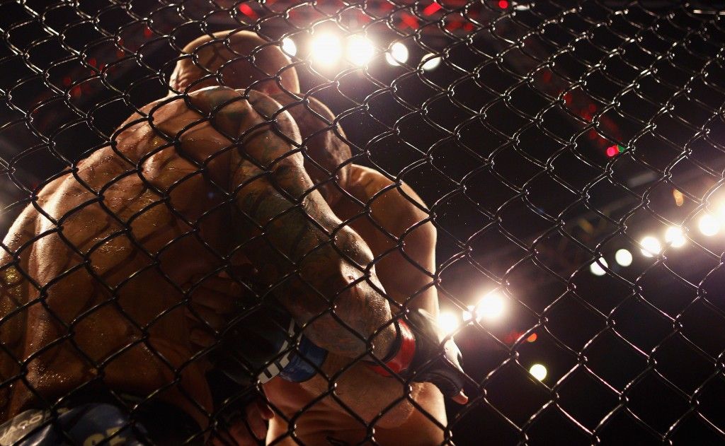 UFC On FX: Alves v Kampmann