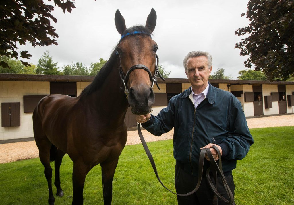 REPRO FREE***PRESS RELEASE NO REPRODUCTION FEE** Longines Irish Champions Weekend Stable Visit – Jim Bolger’s Yard, Glebe House, Coolcullen, Co. Carlow 31/8/2016 Jim Bolger with his QIPCO Irish Champion Stakes contender, Moonlight Magic who will line-up as part of Longines Irish Champions Weekend, Ireland's ultimate Irish racing event taking place at Leopardstown & the Curragh on September 10th & 11th. Mandatory Credit ©INPHO/Ryan Byrne
