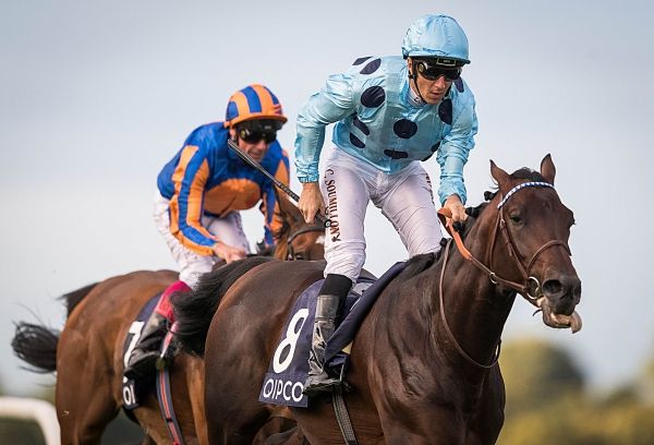 Longines Irish Champions Weekend, Leopardstown, Dublin 10/9/2016 The QIPCO Irish Champion Stakes (Group 1) Almanzor ridden by Christophe Soumillon comes home to win The QIPCO Irish Champion Stakes Mandatory Credit ©INPHO/Ryan Byrne