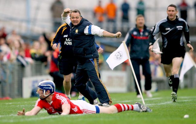 Davy Fitzgerald celebrates after his side wins a free 11/7/2015