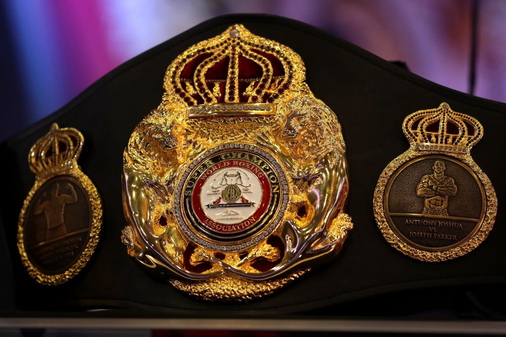 World men's boxing champions list: WBA, WBO, WBC, IBF and The Ring
