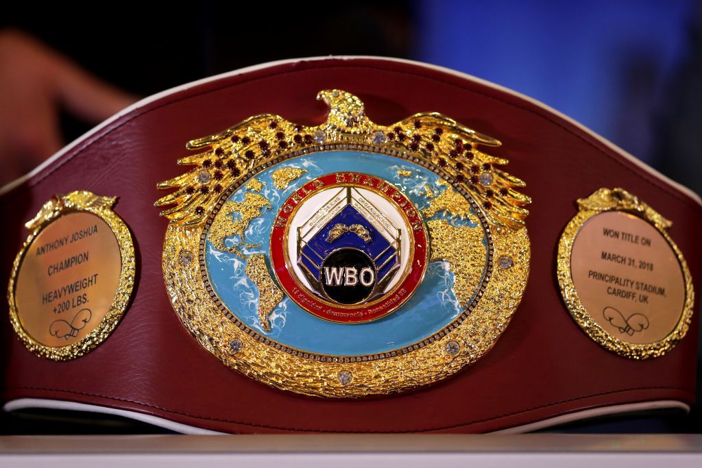 WBO WORLD CHAMPION ORGANIZATION BELT BOXING TITLE MMA IBF WBC ADULT SIZE BELT 